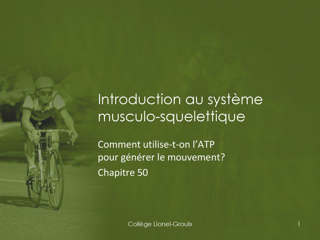 Introduction Au Syst Me Musculo Squelettique Ppt T L Charger